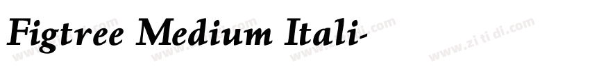 Figtree Medium Itali字体转换